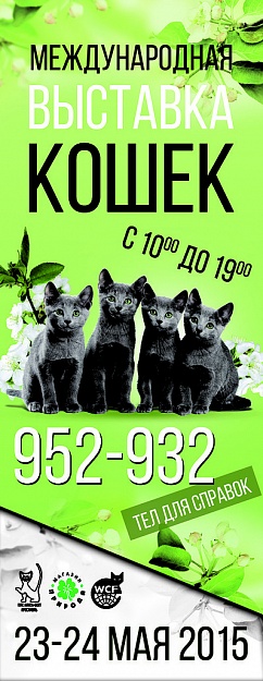 23-24 мая! Международная выставка кошек!