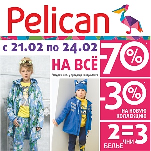   Weekend в магазине Pelican 